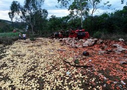 Motorista de caminhão morre em acidente na BR 365