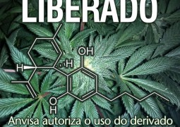 Canabidiol liberado: Anvisa autoriza o uso de substância retirada da maconha