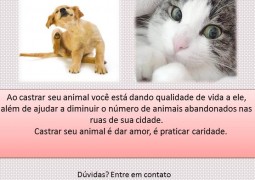 ASPA realizará a segunda Campanha de Castração de Animais em São Gotardo