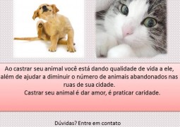 ASPA realizará a segunda Campanha de Castração de Animais em São Gotardo