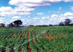 São Gotardo, cidade rica na Agricultura. Mas até quando?