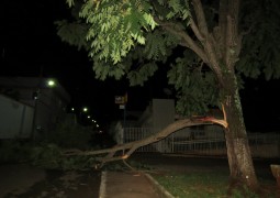 Após mais de 20 dias, chuva finalmente cai em São Gotardo e árvore tomba próxima ao Correio