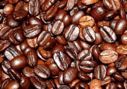 Produtores rurais alertam sobre difícil ano para o café em 2016