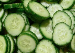 Gosta de pepino? Confira 14 motivos para você começar a comer o vegetal a partir de hoje