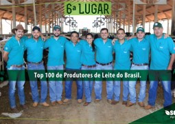 Milkpoint realiza levantamento dos maiores produtores de leite do país e Sekita Agronegócios fica na sexta colocação