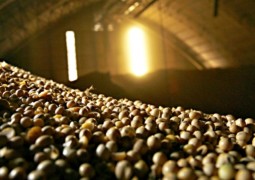 Mercado projeta recorde para exportação brasileira de soja em maio