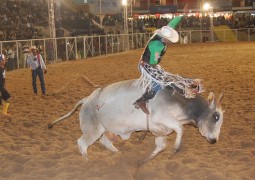 Ação do MP pede proibição de rodeio na Fenamilho 2015