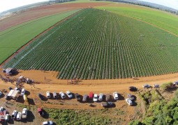 Moranguinhos: A melhor opção de lazer para a população Sangotardense durante as férias de Julho