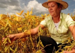 37% do Brasil é rural