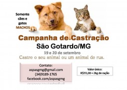 Campanha de Castração acontece em São Gotardo nos dias 19 e 20 de Setembro