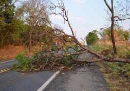 Tempestade derruba árvores na BR 354 e provoca estragos em Lagoa Formosa e Carmo do Paranaíba