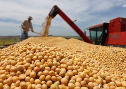 Safra brasileira de soja tem potencial para mais de 100 milhões de toneladas
