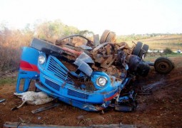 Caminhão que transportava Gado capota na MGC-354 e pai e filho saem ilesos de acidente cinematográfico