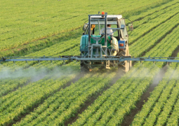 Mercado de agroquímicos deve crescer 68% em 7 anos