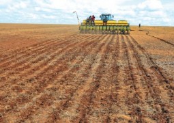 Clima atrasa plantio de soja no Brasil