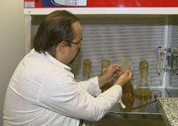 Cientistas da Unesp desenvolvem material sustentável que pode substituir o vidro