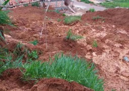 Barranco desaba no bairro Liberdade e duas casas são atingidas em São Gotardo