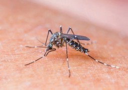 Minas é o 2º Estado com mais casos de vírus Zika, diz ministério