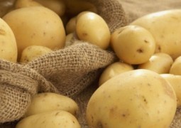 Consumo de batata aumenta risco de diabetes na gravidez