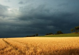 Preocupação com a chuva aumenta para o homem do campo