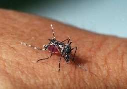 Três casos de zika vírus são registrados na região do Alto Paranaíba