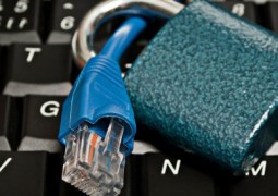 Anatel proíbe limites na internet de banda larga ‘por prazo indeterminado’
