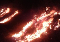 Incêndio atinge área às margens da BR-365 próximo a Patrocínio e quase chega em lavouras