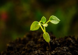 Parceira do Portal SG AGORA, Verde Fertilizantes agora é Verde AgriTech