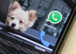 WhatsApp: Justiça do RJ manda bloquear aplicativo em todo o Brasil
