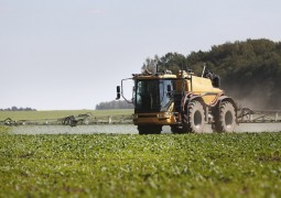 Agricultor é a profissão mais comum entre candidatos nas eleições 2016