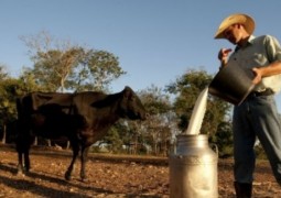 Preço do leite subiu 12,37% em Minas e deve seguir em alta