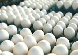 Ovos abriram a semana sofrendo novo retrocesso nos preços