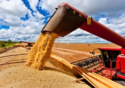 Safra de grãos deve ficar 9,8% menor em 2016, estima IBGE