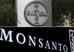 Bayer anuncia compra da Monsanto por US$ 66 bilhões