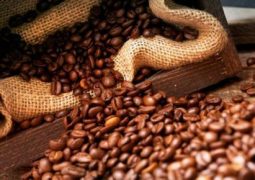 Brasil vendeu menos café aos árabes neste ano até agosto