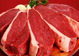Exportação de carne bovina in natura pode chegar a 98,7 mil toneladas em setembro