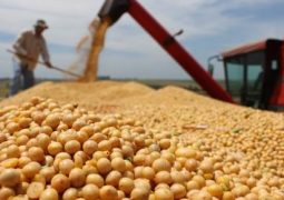 Abiove prevê produção de 101,30 milhões de t de soja em 2017