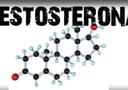 Testosterona favorece comportamentos agressivos, mas também generosos