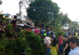 Ônibus perde o freio, atravessa canteiro de praça no centro de São Gotardo e só para após bater em árvore