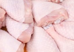 Produção mundial de carne de frango deve crescer 1% em 2017, diz USDA