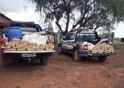 Polícia Militar realiza apreensão de 300 quilos de maconha em fazenda no Alto Paranaíba