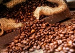 Preço do café de qualidade inferior dispara em Minas Gerais