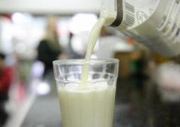Sindilat: Queda no preço do leite é mais sutil em novembro