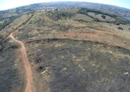 Associação Vira-Latas de Raça faz apelo à população Sangotardense, para a construção de Abrigo de animais de rua da cidade