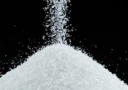 Açúcar é destaque das exportações do agronegócio em novembro