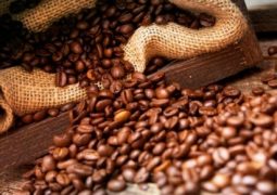 Café: Bolsa de Nova York testa recuperação nesta manhã de 2ª após cair mais de 7% na semana passada
