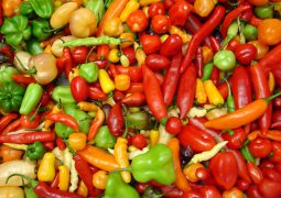 Segundo estudos consumo de pimenta ajuda viver mais