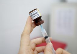 Governo de Minas Gerais investiga 83 mortes causadas por febre amarela