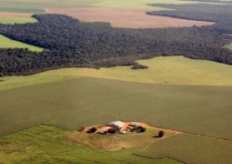 Taxa do Certificado de Cadastro de Imóvel Rural deve ser paga sem multa até sábado