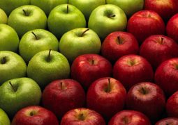 Produção de maçãs tem aumento de 11% no faturamento em 2016